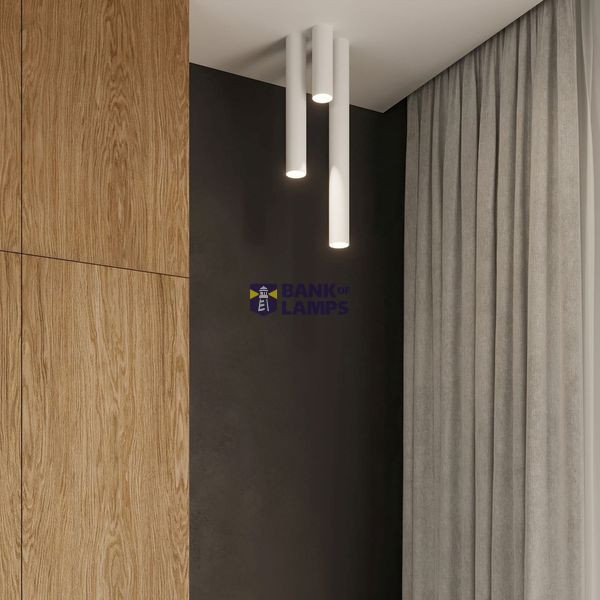 SPOT LAGOS 40 WHITE GU10 1X40W IP20 image 5