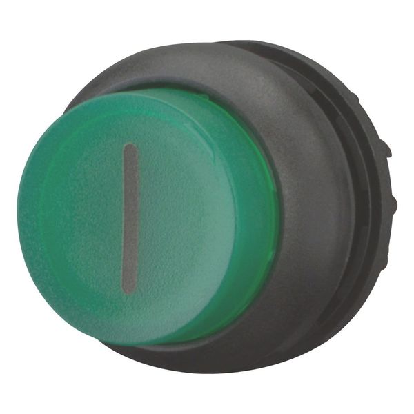 M22S-DLH-G-X1 Illuminated pushbutton actuator, RMQ-Titan, Extended, momentary, green, inscribed, Bezel: black image 6
