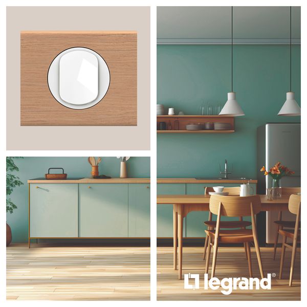 PLATE 4 GANG OAK image 5