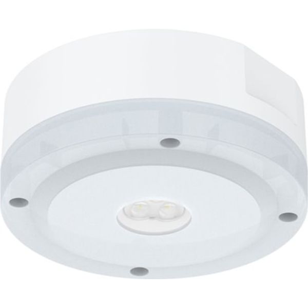LiFeSafe PRO SURF ROUND DL IP65 C ACC image 1