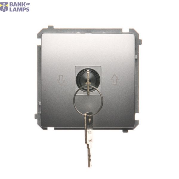Roller blond switch with key, Silver matt, metalic, 5A image 1