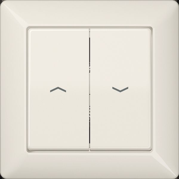 2-gang rocker AS590-5P image 2