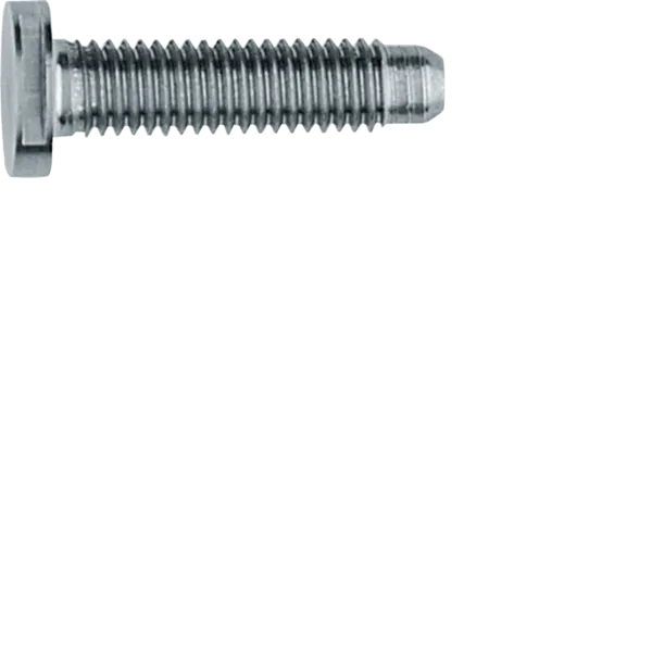 Screw special ZY M5x25 stainless steel image 1