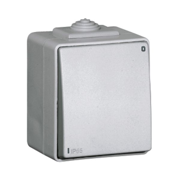 TWO-POLE SWITCH GREY image 1