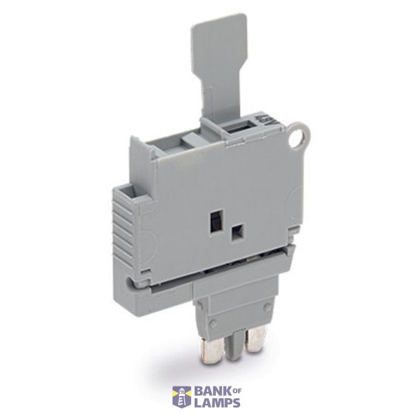 2004-911/1000-542 Fuse plug; with pull-tab; for 5 x 20 mm miniature metric fuse image 1