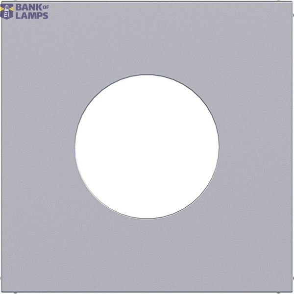 Central plate for push button/light signal E10, A.x/C.x, titanium image 1