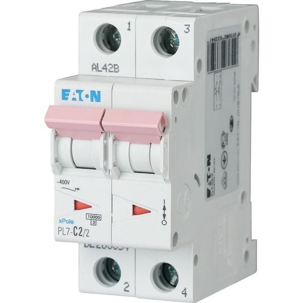PL7-B2/2 Miniature circuit breaker (MCB), 2 A, 2p, characteristic: B image 2
