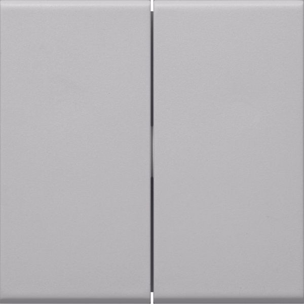 Rocker 2-gang Switch/Button, lg image 2