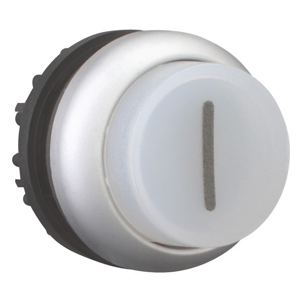 M22-DLH-W-X1 Illuminated pushbutton actuator, RMQ-Titan, Extended, momentary, White, inscribed 1, Bezel: titanium image 8