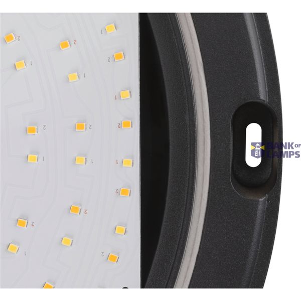 OUTDOOR BULKHEAD V 360, 20W 830/840 IP65 IK10 image 2