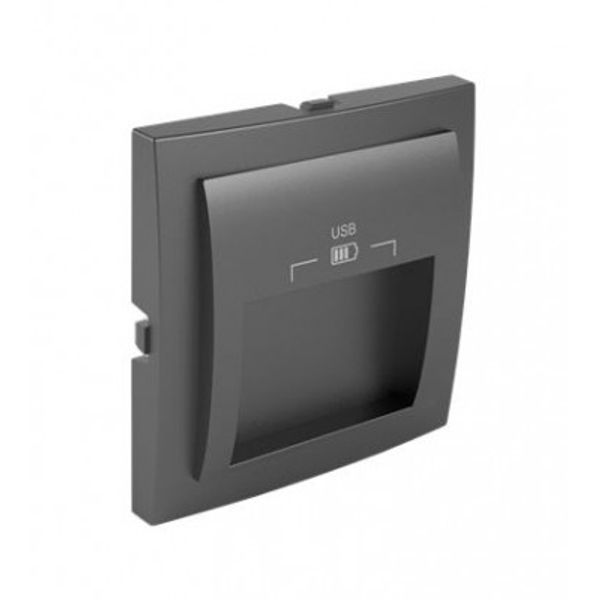 C PLATE DOUB USB CHARG TYPE A 20° OUTPUT GR image 1