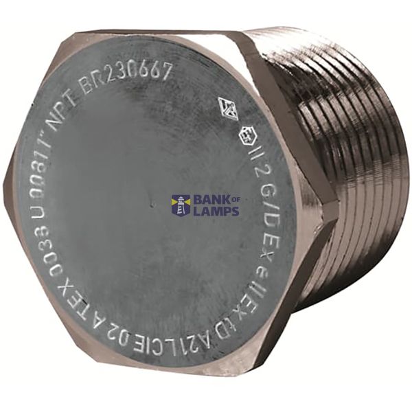 Plug Hexagonal ATEX EXE Nickel Plated Brass 3/8NPT Metallic Raw color image 1