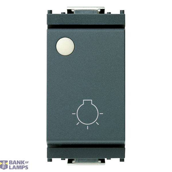 1P NO 10A push light symbol lumt grey image 1