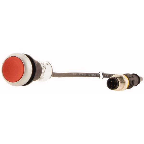 C22-D-R-K01-P3 Pushbutton, Flat, momentary, 1 NC, Cable (black) with M12A plug, 4 pole, 0.5 m, red, Blank, Bezel: titanium image 3