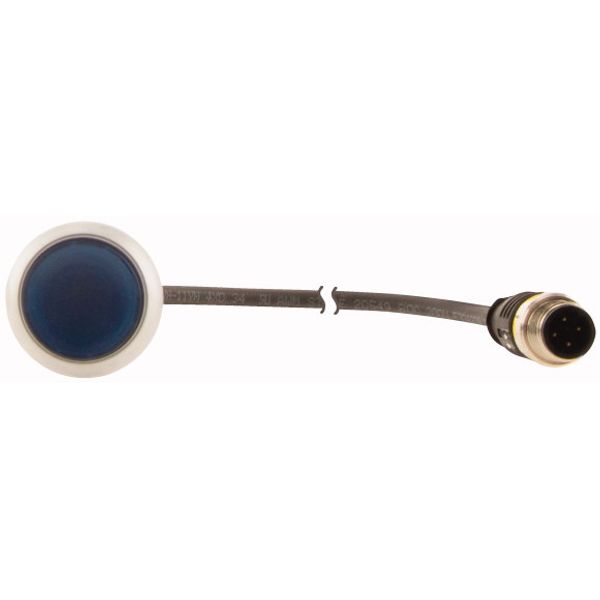 C22-DRL-B-K10-24-P3 Illuminated pushbutton actuators, maintained, blue, 24v, 1 N/O, with cable 0.5m and M12A plug image 2