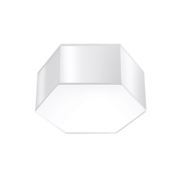 CEILING LAMP SUNDE 13 WHITE E27 2X60W IP20 image 1