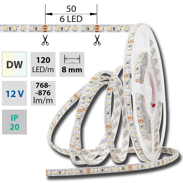 LED strip SMD3528 dual white EWW-CW 120LED/m 9,6W/m 720lm/m IP20 DC 12V 8mm 5m image 1
