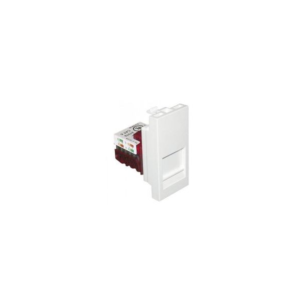 MOD W/1 RJ45 CAT.6 UTP CONNECTOR-1 MOD WHITE image 1