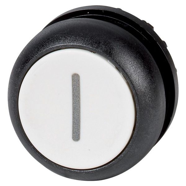 M22S-D-W-X1 Pushbutton, RMQ-Titan, Flat, momentary, White, inscribed, Bezel: black image 3