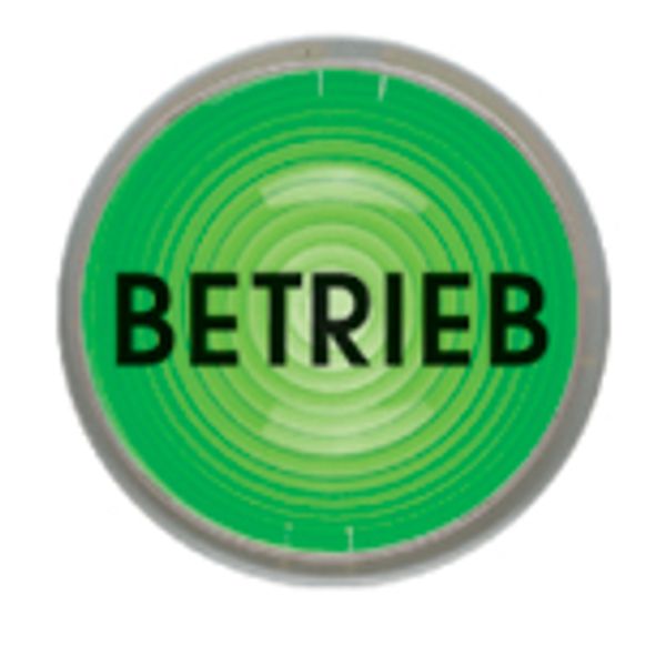 Adhesive sticker "BETRIEB" image 1