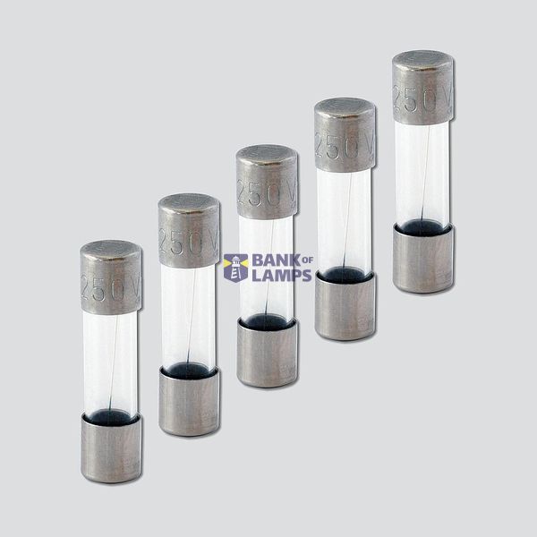 T 1.0 A Fuse 5 x 20 mm image 1