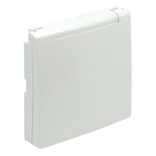 C.PLAT F/FR SOCK W/SAF & HINGED LID(IP44) ICE image 2