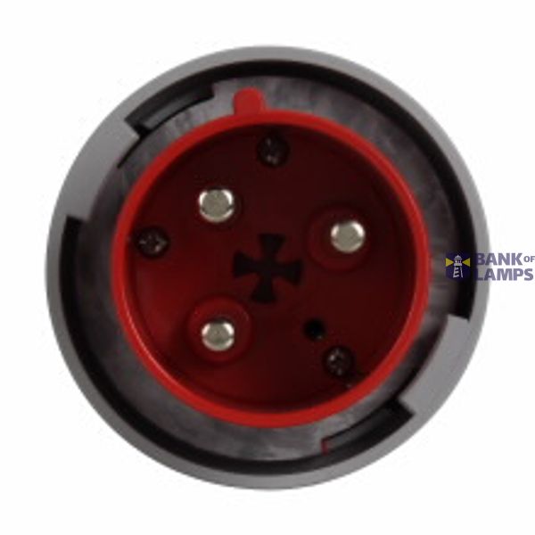 IEC 60309 industrial plug, 20A, 2-wire, 3-pole, Glass reinforced polyamide, 250 Vac image 2