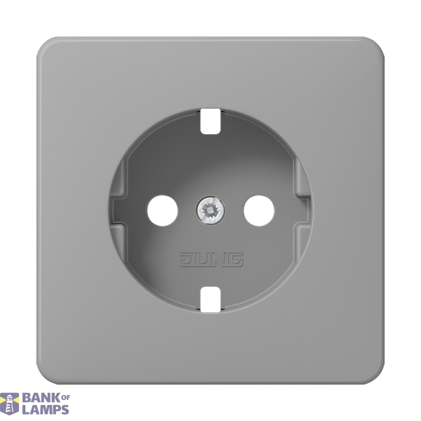 Central plate for SCHUKO® sockets, CD series, grey image 1