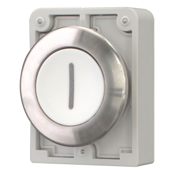 M30I-FD-W-X1 Pushbutton, RMQ-Titan, flat, momentary, White, inscribed 1, Front ring stainless steel image 6