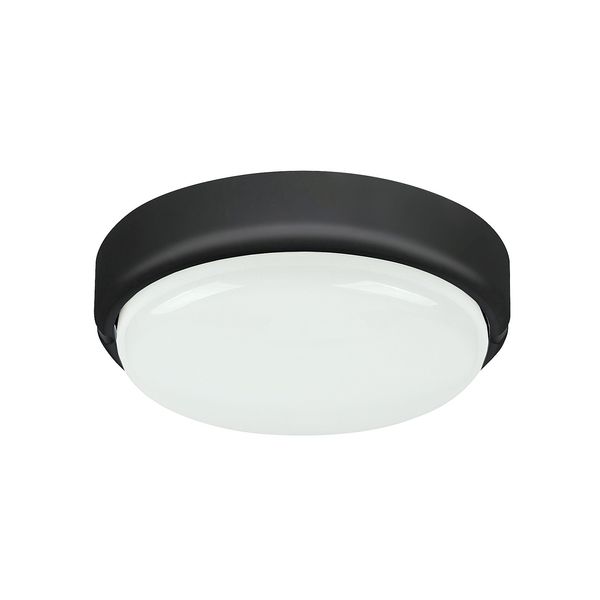 HORT LED 15W IP54 4000K 7407 image 1