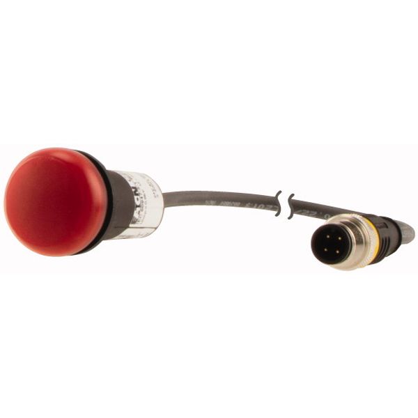 C22-L-R-24-P3 Indicator light, Flat, Cable (black) with M12A plug, 4 pole, 0.5 m, Lens Red, LED Red, 24 V AC/DC image 3
