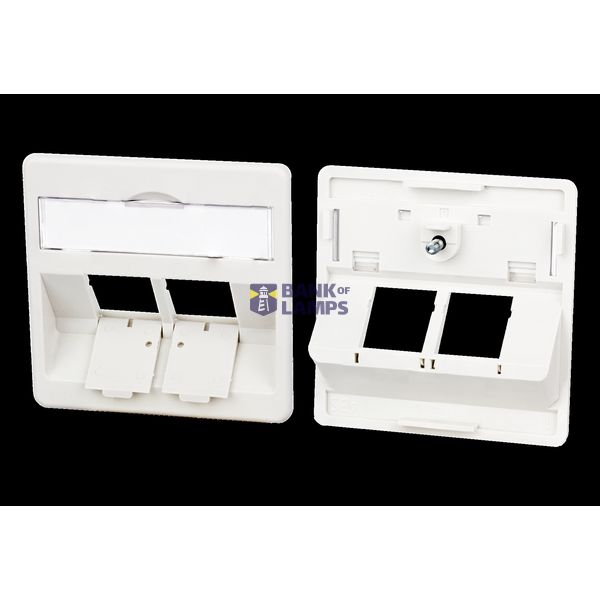 Central plate 50 x 50 mm 2 port, pearl white, modul image 2