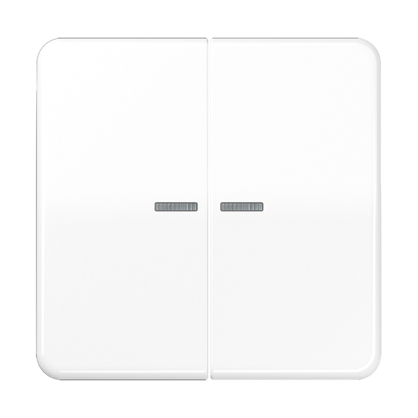 JUNG HOME push-button 2-gang BTCD17102WW image 1