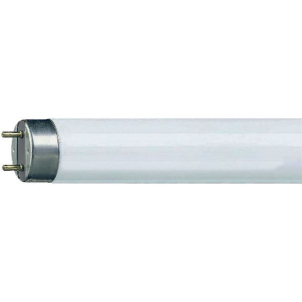 T0-1-8214/I1 Changeoverswitches, T0, 20 A, surface mounting, 1 contact unit(s), Contacts: 2, 45 °, momentary, With 0 (Off) position, with spring-return from both d image 435