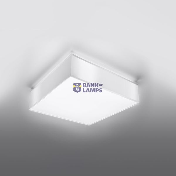 CEILING LAMP HORUS 35 WHITE E27 2X60W IP20 image 4