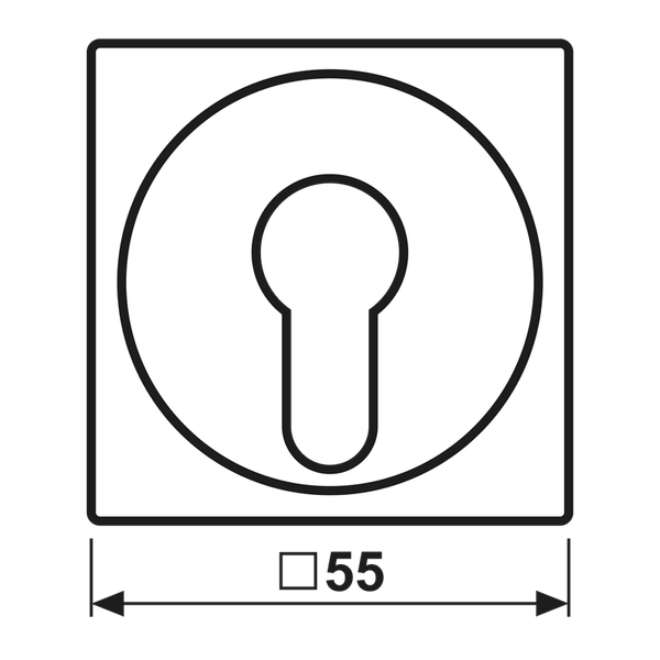 Cover plate f. key switch A528PL image 7