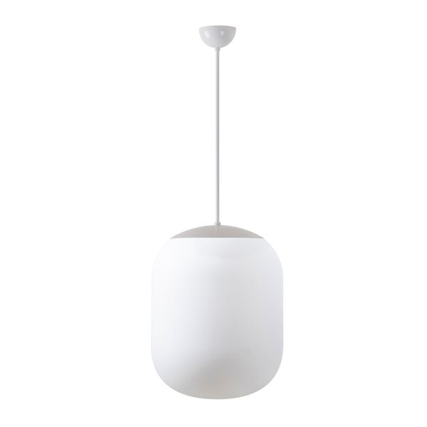 LED-5L07C09ZS11/298/L100 B 4000 image 1