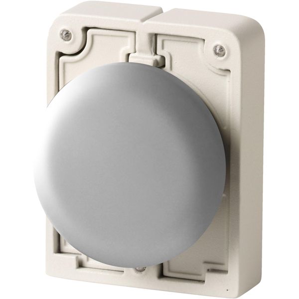 M30I-FB Blanking plug, Front ring stainless steel image 3