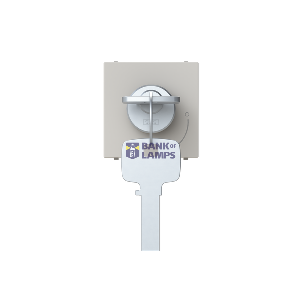 Key push-button 2 positions - 2M - Dune image 1