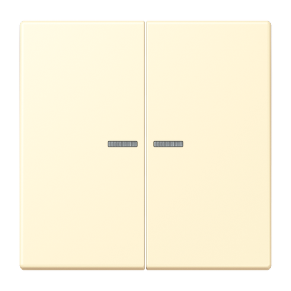 JUNG HOME push-button 2-gang BTLC17102201 image 1