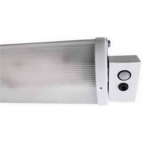 TN3144MBFAA21 LED IP21 53W/840 ACF image 1