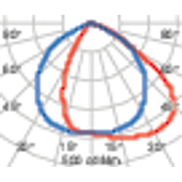 SPIDER+ POST 38W A35EW 830 DLS+DETEK image 5