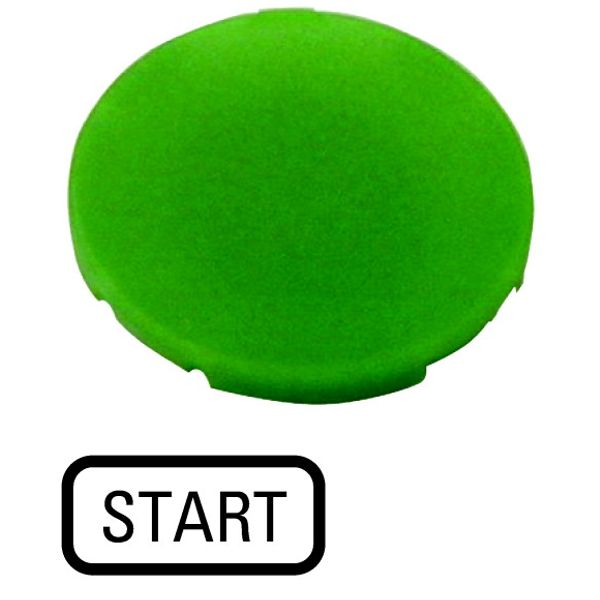 M22-XD-G-GB1 Button plate, flat green, START image 1