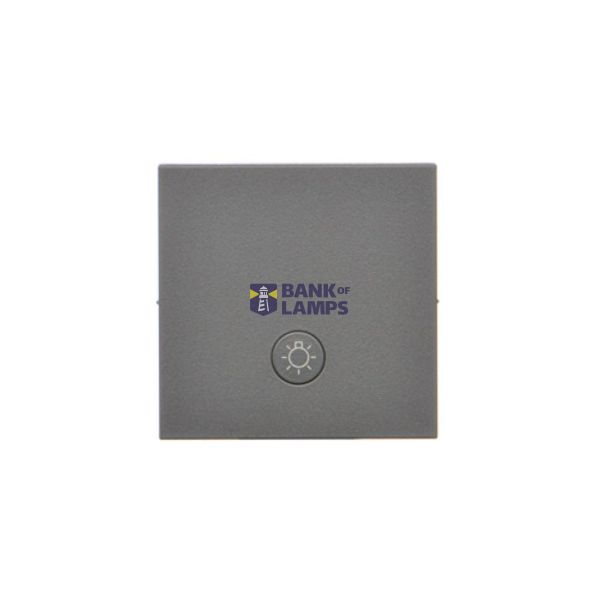 Single button for switches and push buttons, graphite mat image 1