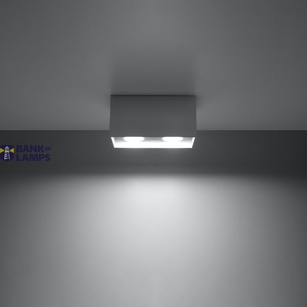 SPOT QUAD MAXI GREY GU10 2X40W IP20 image 3
