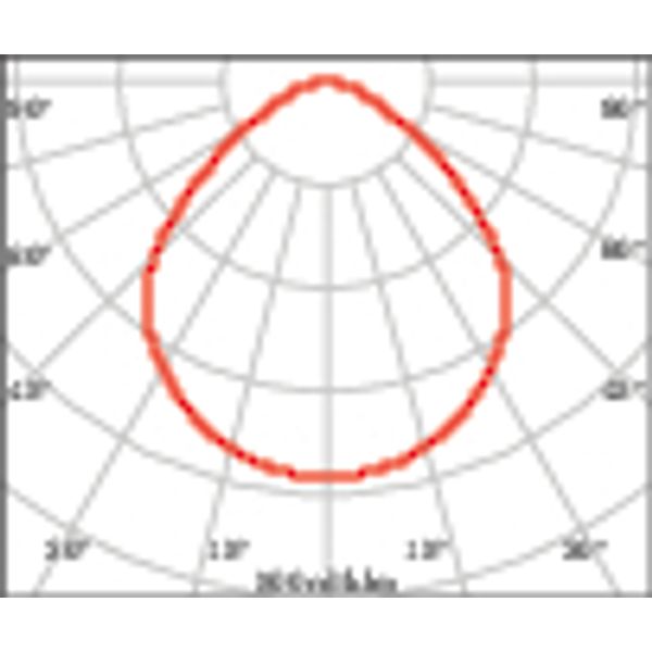 MANGO+MIDI 10/13 C/EW 830 WIT+NOOD1H image 4