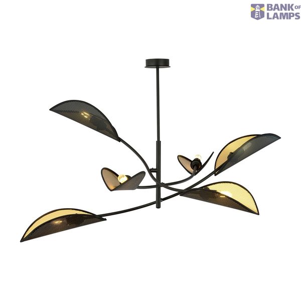 LOTUS 6 BLACK/GOLD image 1