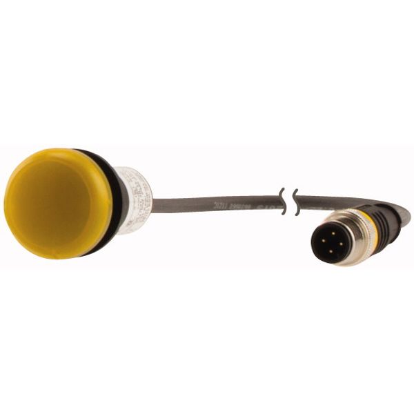 C22-L-Y-24-P3 Indicator light, Flat, Cable (black) with M12A plug, 4 pole, 0.5 m, Lens yellow, LED white, 24 V AC/DC image 3