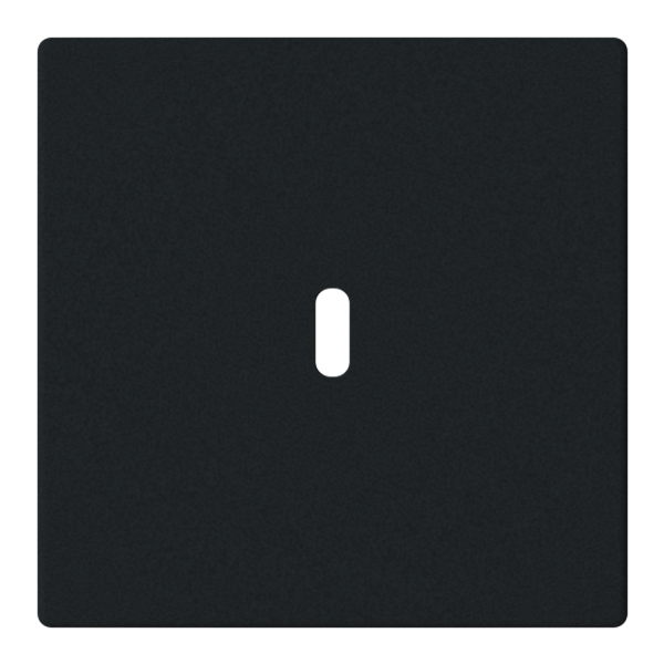 Central disc USB-C power adapter insert 65W image 1
