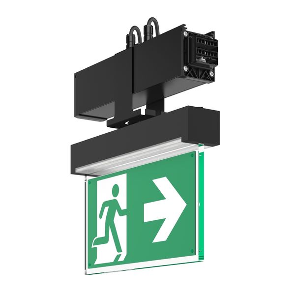 LINEDO, black, on/off Continuous line luminaire, L 336 B 62 H 343, SBS image 2